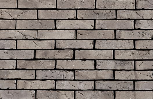 Lupus / Geel Gesmond (210×100×50mm)
